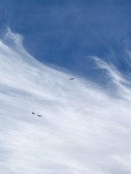 Similar image 22424404