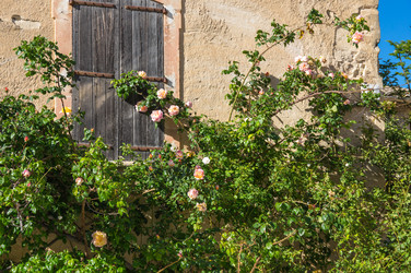 Similar image 22416443