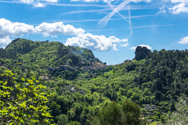 Similar image 22416444