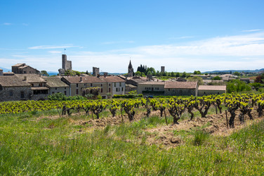 Similar image 22416450