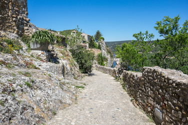 Similar image 22416466