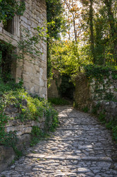 Similar image 22416472