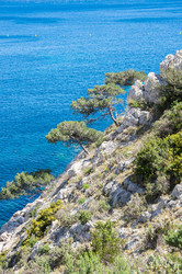 Similar image 22416473