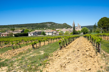 Similar image 22416480