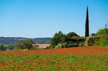 Similar image 22416481