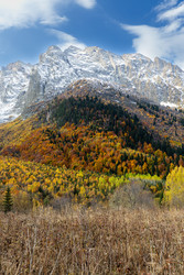 Similar image 22416491