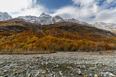 Similar image 22416492