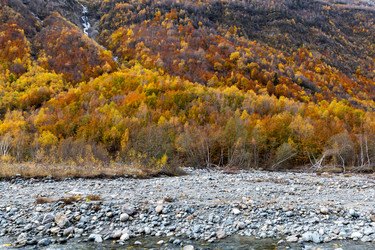 Similar image 22416493