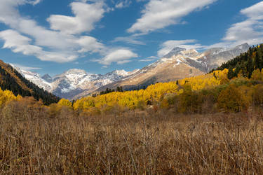 Similar image 22416494