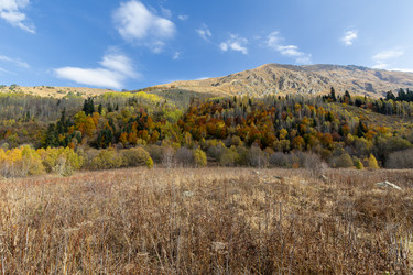 Similar image 22416495