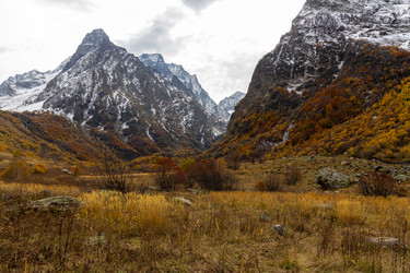 Similar image 22416498