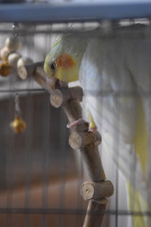 Similar image 22418672