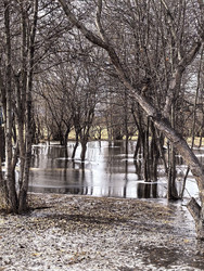 Similar image 22424407