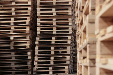 Similar image 22443115