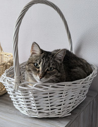 Similar image 22424411