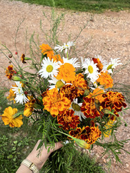 Similar image 22424412