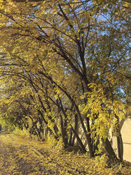 Similar image 22424414