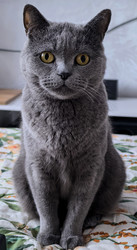 Similar image 22424422