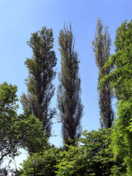 Similar image 22424423