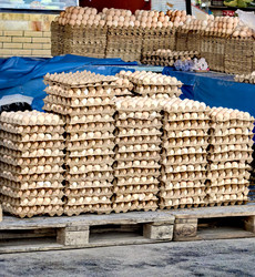 Similar image 22424424