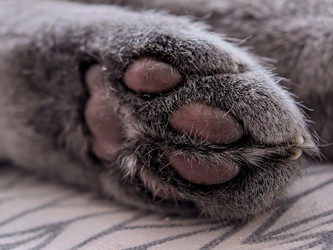 Similar image 22424427