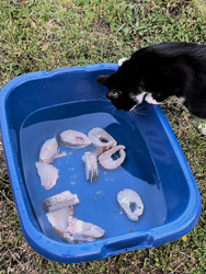 Similar image 22424430