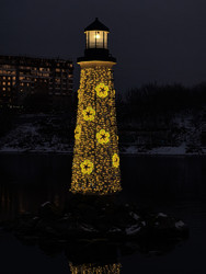 Similar image 22424435