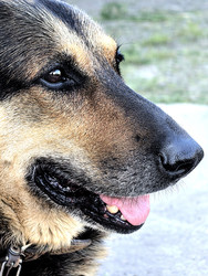 Similar image 22424436