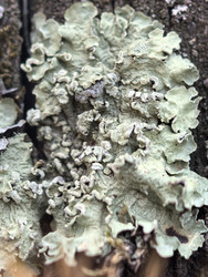 Similar image 22424437