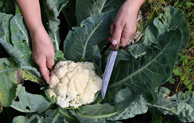 Similar image 22415435