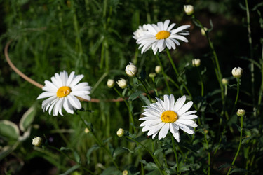 Similar image 22415436