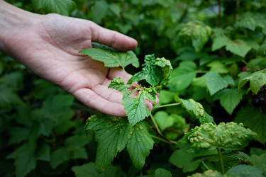 Similar image 22415439