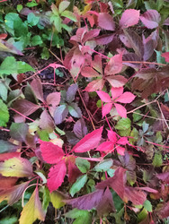 Similar image 22424959