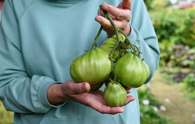 Similar image 22415441