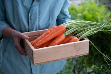 Similar image 22415447