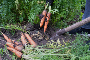 Similar image 22415461