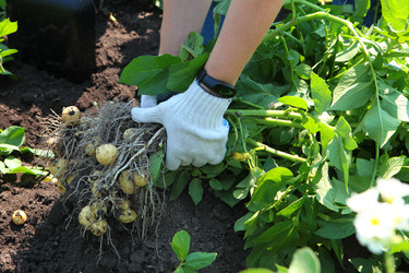 Similar image 22415397