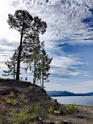 Similar image 22424444