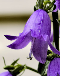 Similar image 22424448