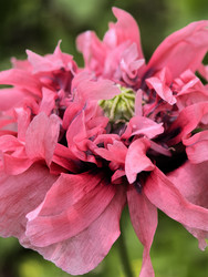 Similar image 22424455