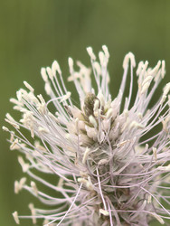 Similar image 22424456