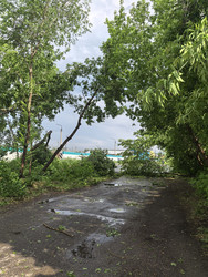 Similar image 22424461