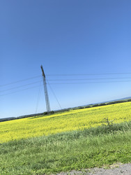 Similar image 22424464