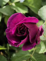 Similar image 22424465