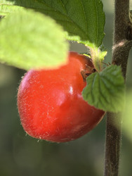 Similar image 22424466