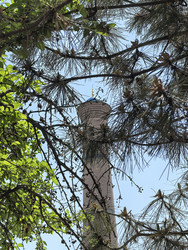 Similar image 22424468