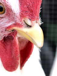 Similar image 22424476