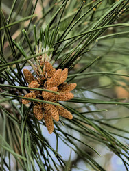 Similar image 22424479