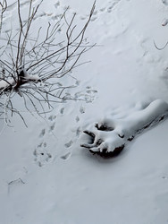 Similar image 22424481