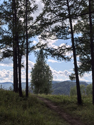 Similar image 22424482